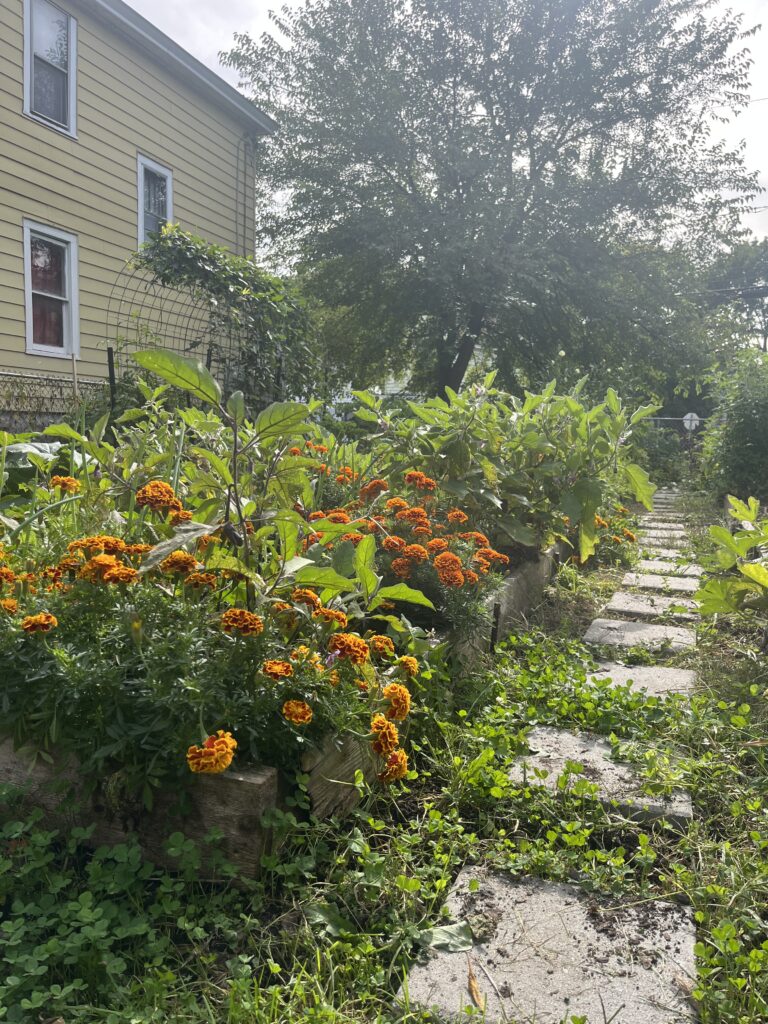 SOFSA Candidate Press Conference on Food & Hunger Issues